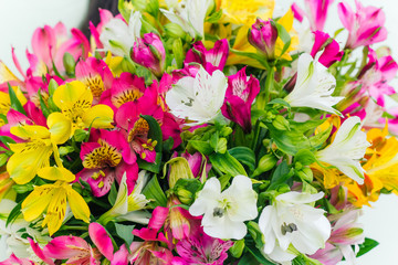 close up  Alstroemeria flowers bouquet blurred background