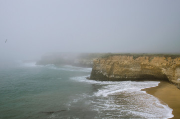 Fototapeta premium foggy view of coastline in Pacifica 