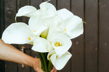 male hand with Calla lilies flowers on a dark wooden background