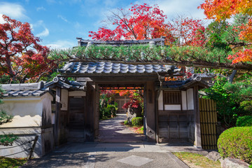 Fototapeta premium 京都 正法寺（しょうぼうじ）の紅葉 
