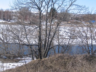 view of the horizon in the spring, near the river