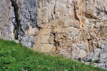 Felswand im Alpstein, Ostschweiz