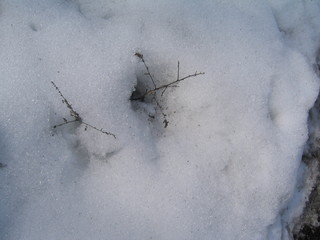 old plane on the boards