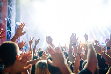 Portrait of happy crowd enjoying at music festival