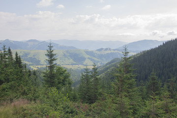 Trekking in the Carpathians, Hike to the border between Ukraine and Romania from Pop Ivan Marmarassky to Pop Ivan Chernogorsky.