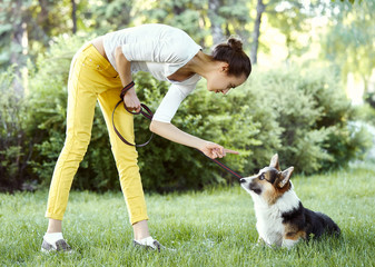 Welsh Corgi dog being punished for bad behavior by owner with finger pointing at him. Young female training puppy in park on grass.