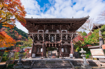 京都　善峯寺の山門と紅葉　