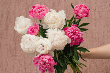 close up of white and pink peony buds floral abstract backdrop