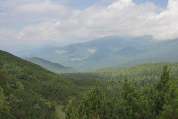 Fototapeta premium Trekking in the Carpathians, Hike to the border between Ukraine and Romania from Pop Ivan Marmarassky to Pop Ivan Chernogorsky.