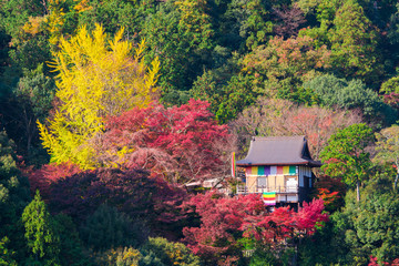 京都　大悲閣千光寺の紅葉