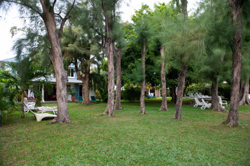 Mauritius Images