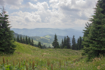 Trekking in the Carpathians, Hike to the border between Ukraine and Romania from Pop Ivan Marmarassky to Pop Ivan Chernogorsky.