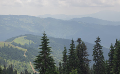 Fototapeta premium Trekking in the Carpathians, Hike to the border between Ukraine and Romania from Pop Ivan Marmarassky to Pop Ivan Chernogorsky.
