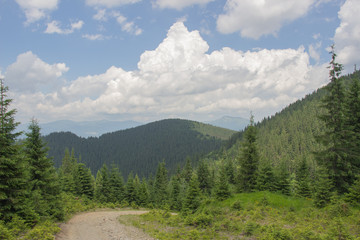 Fototapeta premium Trekking in the Carpathians, Hike to the border between Ukraine and Romania from Pop Ivan Marmarassky to Pop Ivan Chernogorsky.