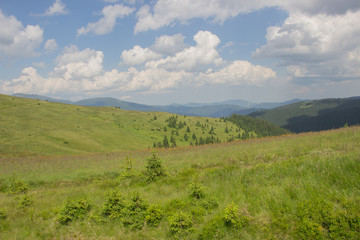 Trekking in the Carpathians, Hike to the border between Ukraine and Romania from Pop Ivan Marmarassky to Pop Ivan Chernogorsky.