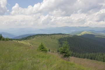 Fototapeta na wymiar Trekking in the Carpathians, Hike to the border between Ukraine and Romania from Pop Ivan Marmarassky to Pop Ivan Chernogorsky.