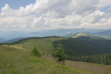 Fototapeta premium Trekking in the Carpathians, Hike to the border between Ukraine and Romania from Pop Ivan Marmarassky to Pop Ivan Chernogorsky.