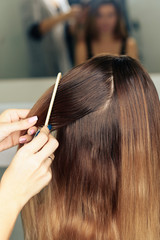 stylist's work with the hair of a girl in a beauty salon