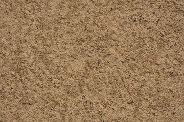 Sand texture. Yellow-brown abstract background. Summer. Sunny day.