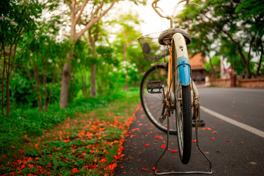 beautiful landscape image with old Bicycle at park on sunshine day. selective focus.