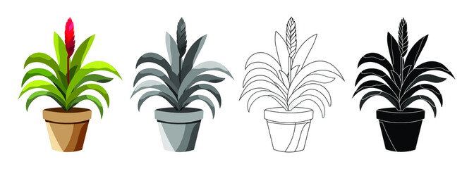 Vector realistic detailed house plant for interior design and decoration.Tropical plant for interior decor of home or office.Color and monochrome drawings.