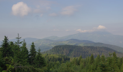 Trekking in the Carpathians, Hike to the border between Ukraine and Romania from Pop Ivan Marmarassky to Pop Ivan Chernogorsky.