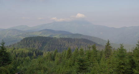 Trekking in the Carpathians, Hike to the border between Ukraine and Romania from Pop Ivan Marmarassky to Pop Ivan Chernogorsky.
