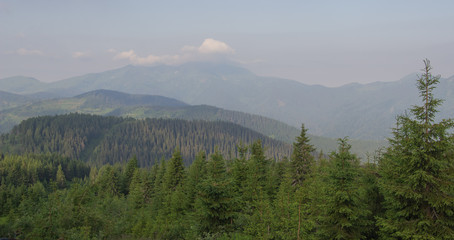 Trekking in the Carpathians, Hike to the border between Ukraine and Romania from Pop Ivan Marmarassky to Pop Ivan Chernogorsky.