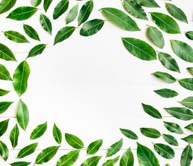 Green leaves on white background. Healthy lifestyle photo. Beautiful wallpaper. Nature concept. Art ideas.