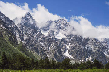 Snow-capped mountains in light clouds and warm green valley with small trees.