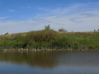 Summer, Sunny and quiet day. The lake, the banks are overgrown with grass. Calm mirror surface of the water.