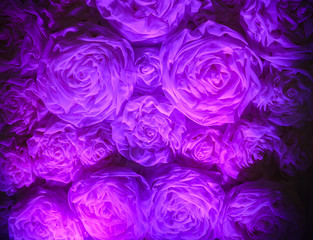 Wall with paper flowers. Purple decorations at the wedding reception.