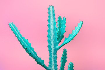 Trendy tropical Green Neon Cactus plant on Purple Color background. Fashion Minimal Art Concept....