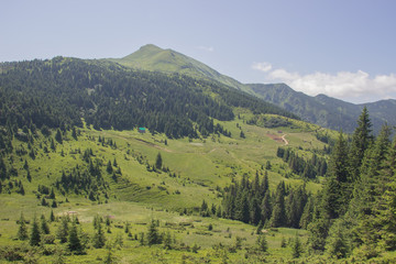 Trekking in the Carpathians, Hike to the border between Ukraine and Romania from Pop Ivan Marmarassky to Pop Ivan Chernogorsky.