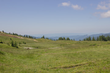 Fototapeta premium Trekking in the Carpathians, Hike to the border between Ukraine and Romania from Pop Ivan Marmarassky to Pop Ivan Chernogorsky.