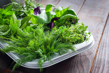 Fresh juicy dill on the background of assorted spicy herbs: basil, thyme, bell pepper, rosemary, horizontal