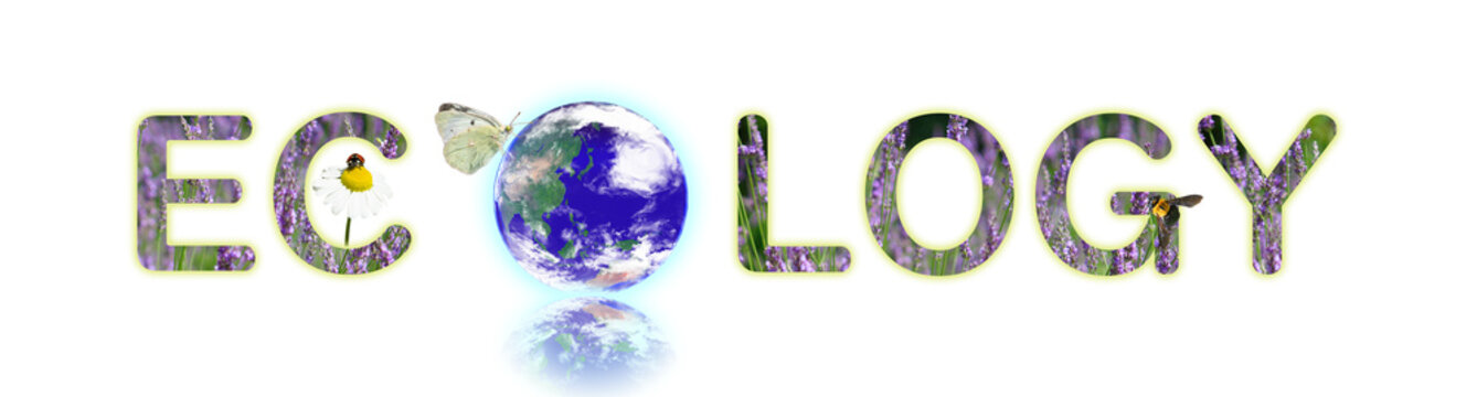 Ecologyと地球（環境保全など地球を守るイメージ）