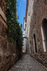 calle histórica de piedra