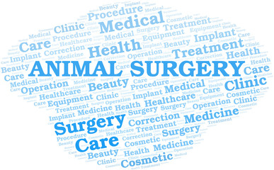 Fototapeta premium Animal Surgery word cloud vector made with text only.
