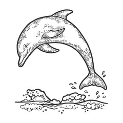 Dolphin jumping from water sketch engraving vector illustration. Scratch board style imitation. Hand drawn image.