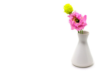 pink eustoma, lisianthus in a white vase on a white background free space for text