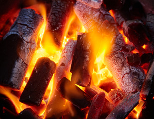 Close-up view of burnt charcoal