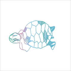 Color illustration of a psychedelic turtle. Tattoo idea.