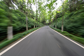 Fototapeta premium road in park