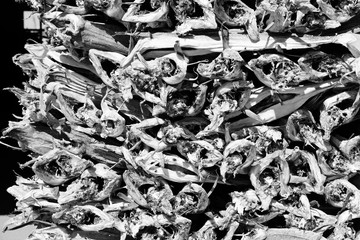 Dried fish in Norway