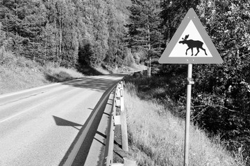 Moose warning