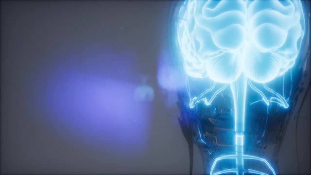 science anatomy scan of human brain glowing