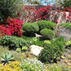 Garden in Malibu