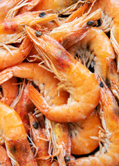 Shrimps as a food background