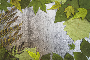 Frame composition with various leaves and fern